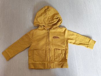 Veste