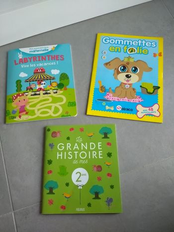 Lot de 3 livres pour enfant