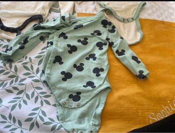 Lot bodies Mickey 