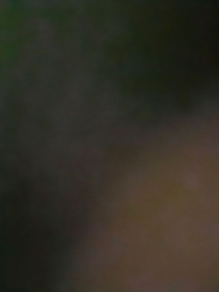 Jogging Levis 14ans - photo numéro 4