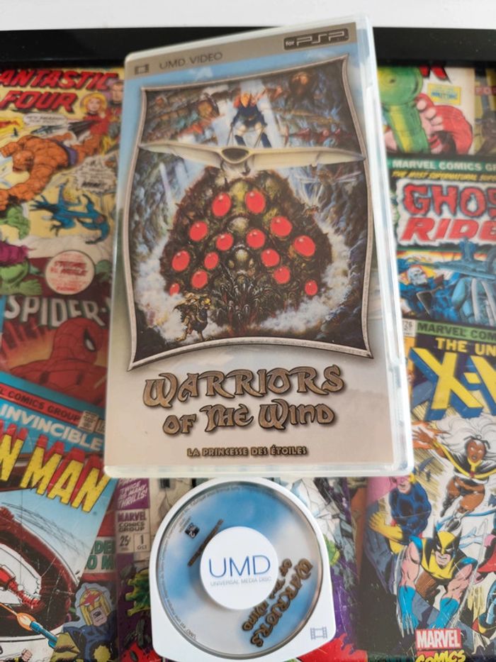 Warriors of the wind la princesse des étoiles PSP - photo numéro 1