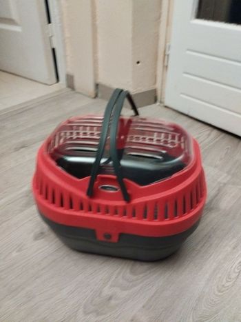 Caisse transport rongeurs