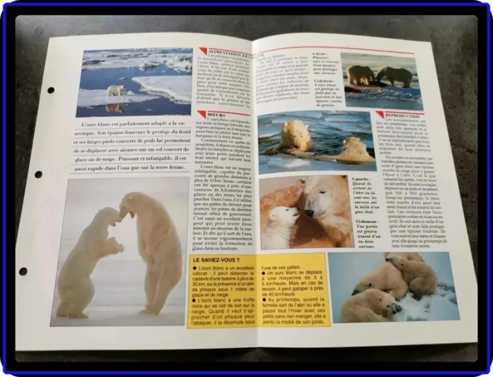 Fiches animaux - photo numéro 3