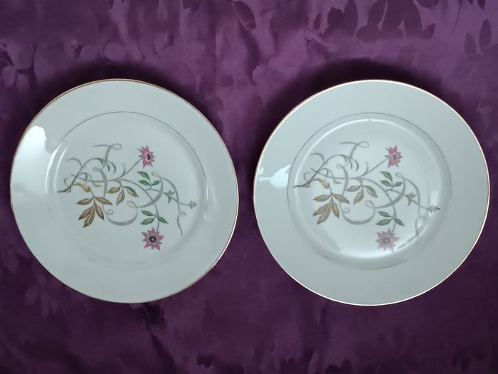 2 Assiettes émaillées Limoges France