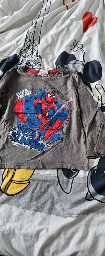 Sweat spiderman