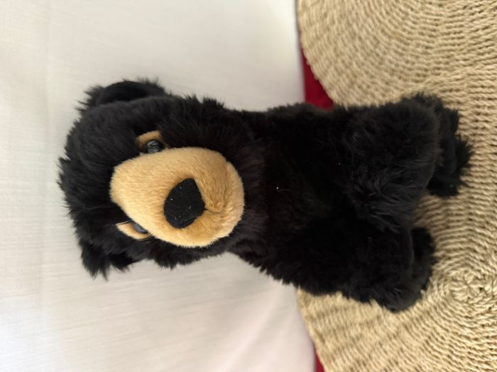 Wild Republic Peluche - Ours Noir - photo numéro 1