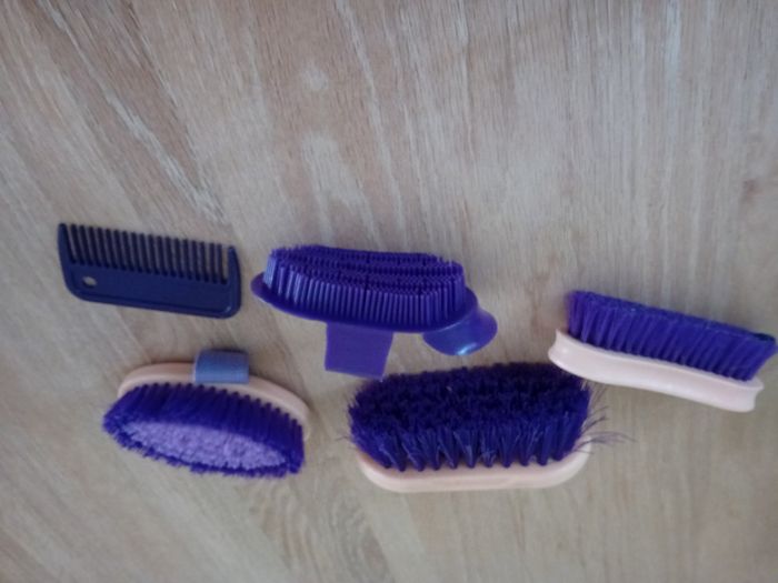 Lot 5 brosses de pansage Fouganza - Excellent état