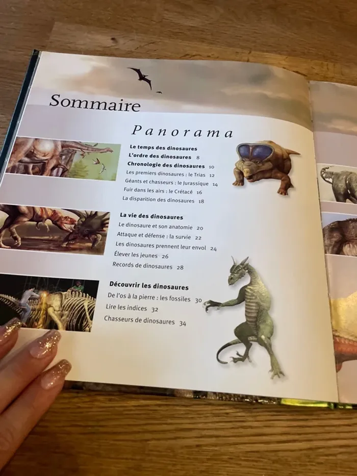 Livre Les dinosaures À la loupe - photo numéro 7