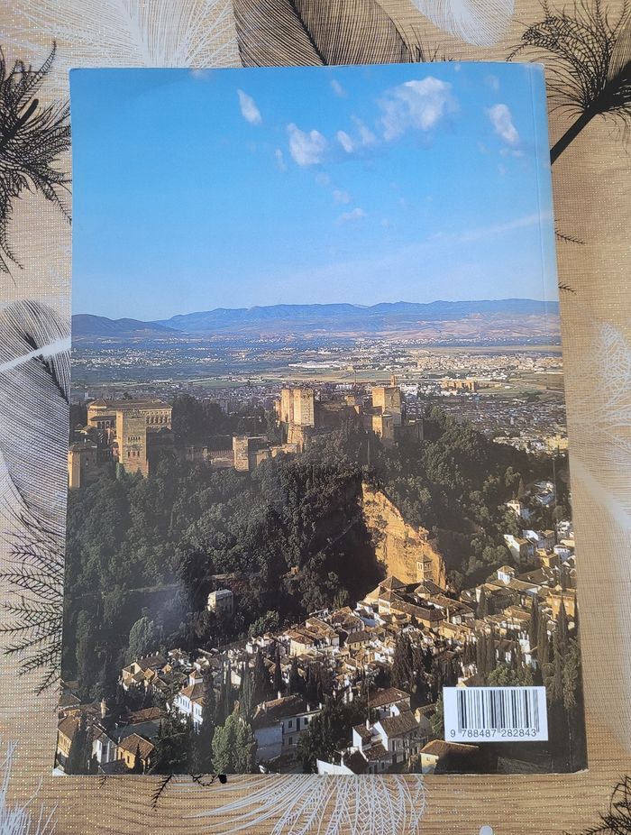 Le Livre De Grenade Et L'alhambra Aurelio Cid - photo numéro 6