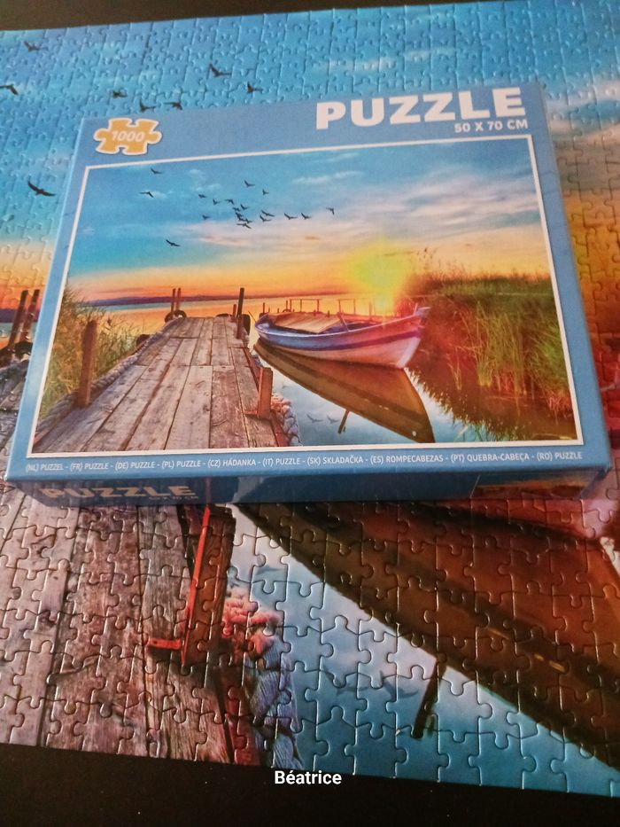 Pulzze 1000 pieces