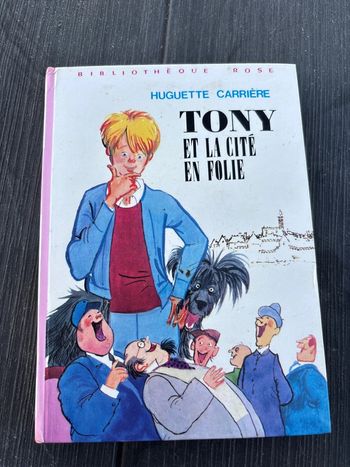 Livre Tony et la cité en folie
