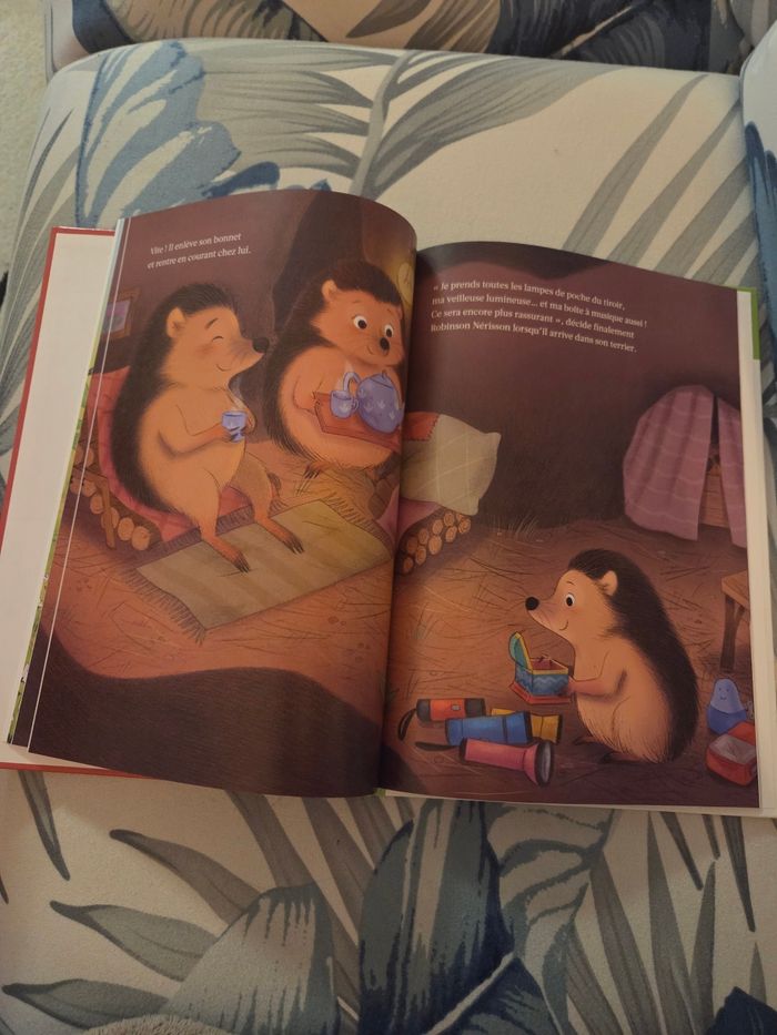 Livre Robinson l'aventurier - photo numéro 4