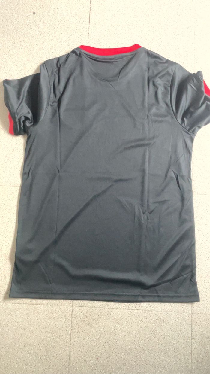 Maillot Japon - photo numéro 2