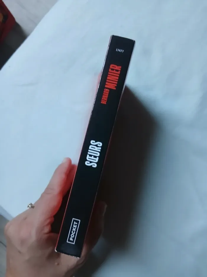 Sœurs, Bernard minier - photo numéro 4