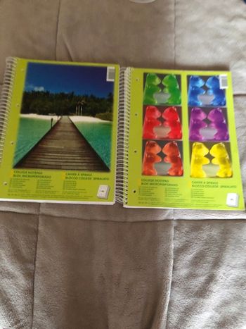 Cahiers à spirales petits carreaux 140pages neufs