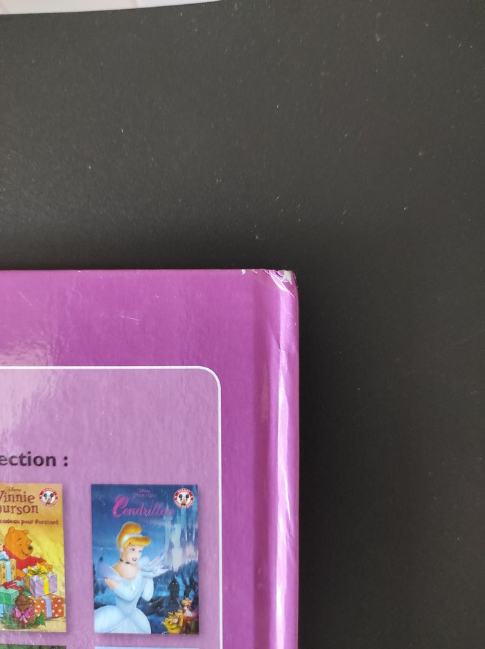 Livre enfant – La Reine des Neiges ❄️📘 - photo numéro 4