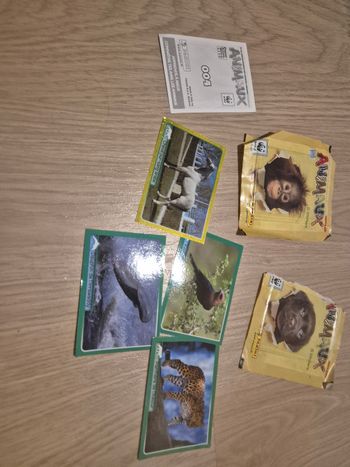 Autocollants animaux