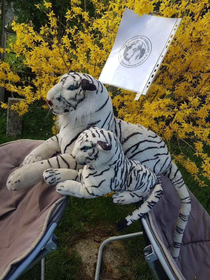 Peluche maman et bébé tigre blanc - photo numéro 3