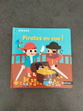 Livre Kididoc pirates en vue!