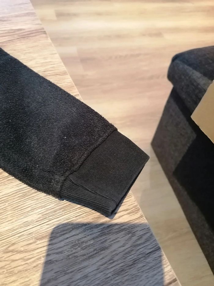 Polaire Palomino - photo numéro 2