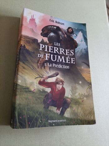 Livre Les pierres de fumé tome 1 la prédilection prédilection