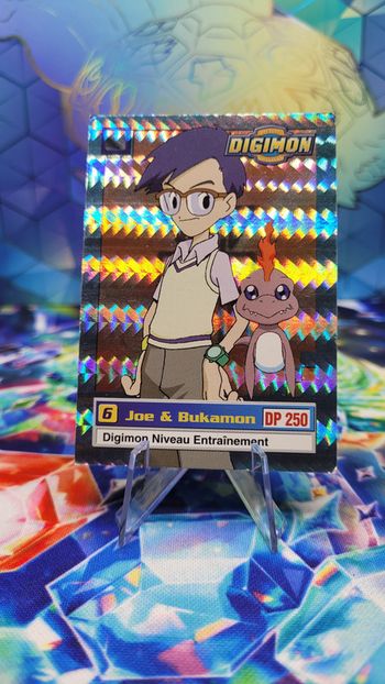 Carte Digimon Joe & Bukamon 9/34 (FOIL) Édition Série TV 1999