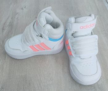 Basket montante Adidas