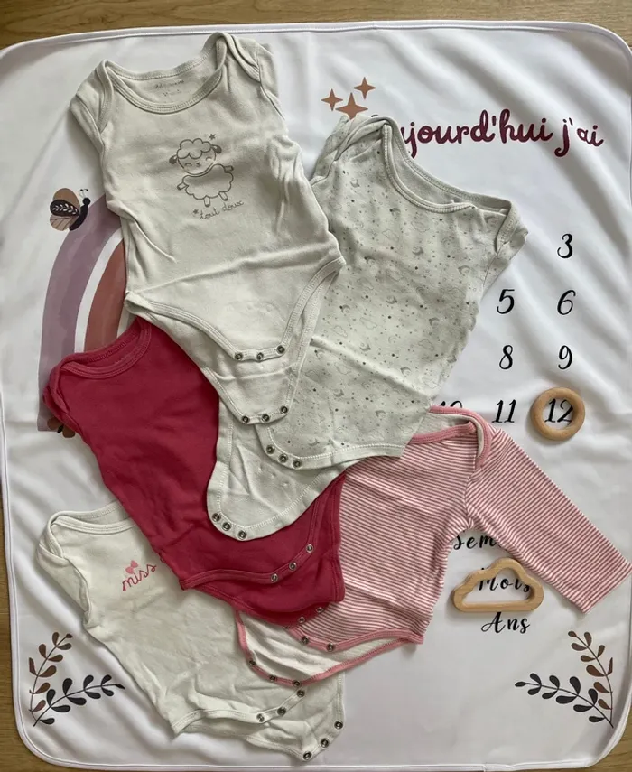 Lot de 5 bodys manches longues – Pat et Ripaton – Taille 12 mois - photo numéro 6