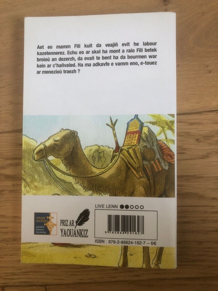 Tamasheq ! Paskal Hervio - photo numéro 2