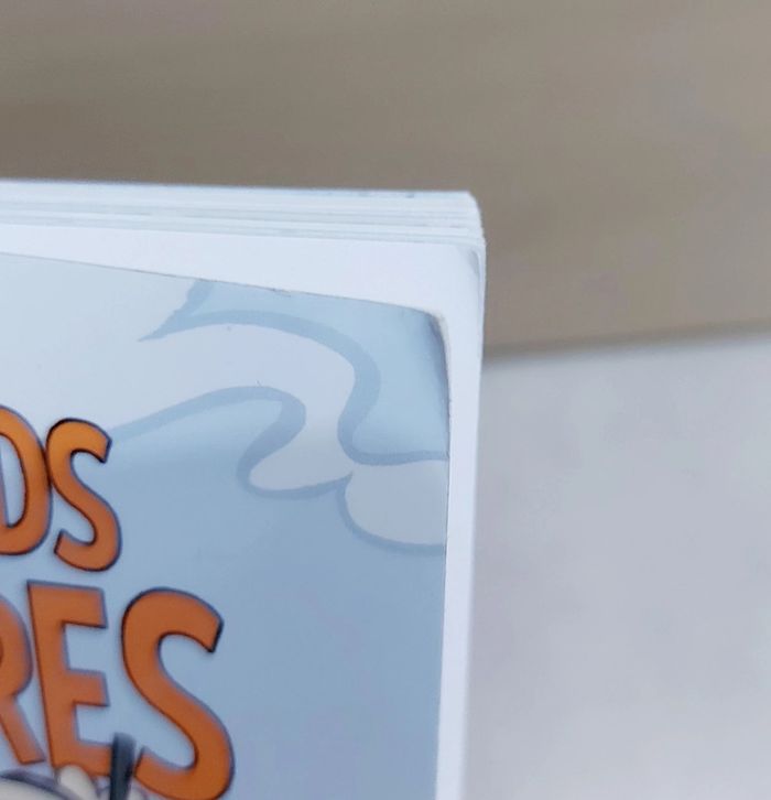 🌺 Livre (école des loisirs) : Des canards trop bizarres - photo numéro 7