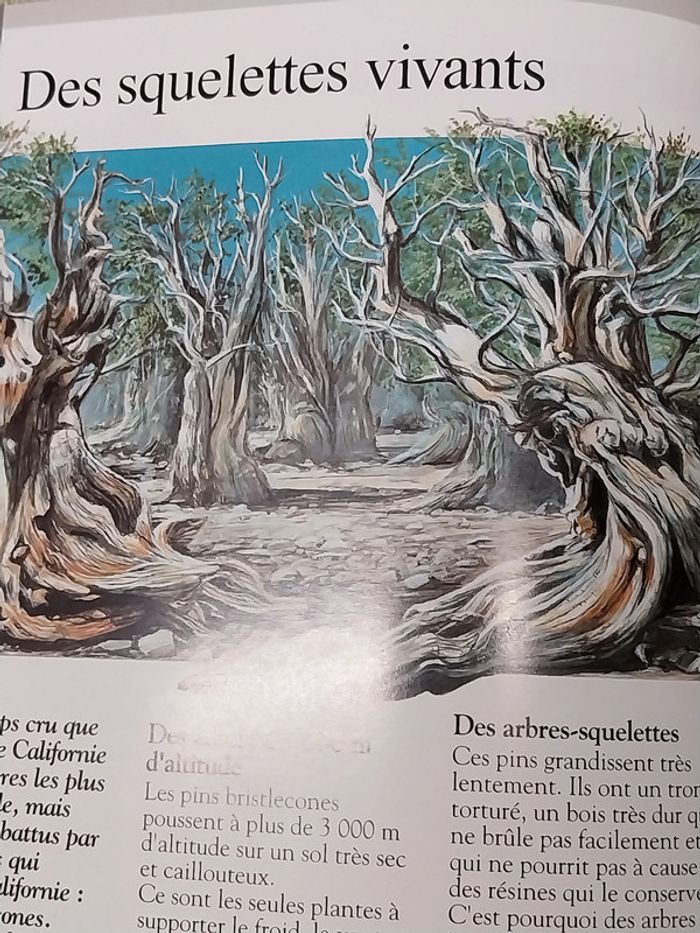 La nature des phénomènes extraordinaires Fleurus enfants - photo numéro 7