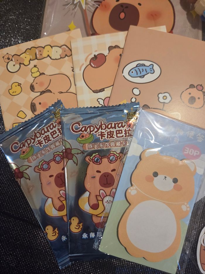 Pochette Capybara - photo numéro 2