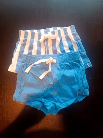 Lot 2 shorts