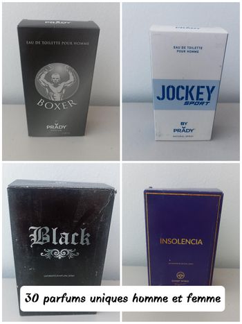 Lot revendeur 30 parfums générique