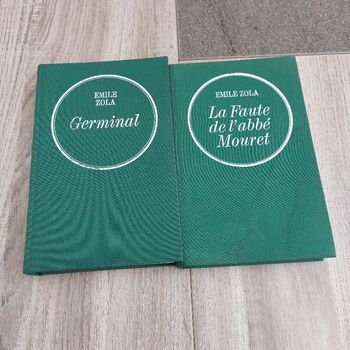 Romans Germinal-Abbé Mouret -E.Zola