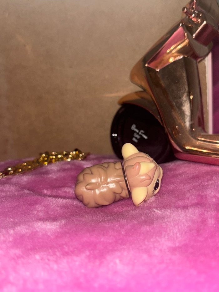 guinea pig #494 - photo numéro 4