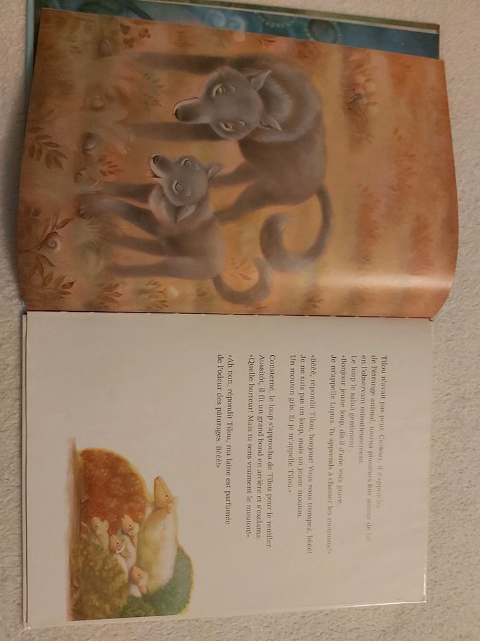 Grand livre pour enfant. Petit frère des loups. - photo numéro 5