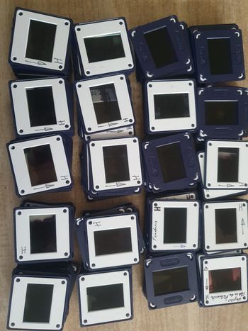 Lot 100 caches diapositives
