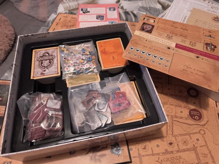 Jeu harry Potter une année a Poudlard - photo numéro 3
