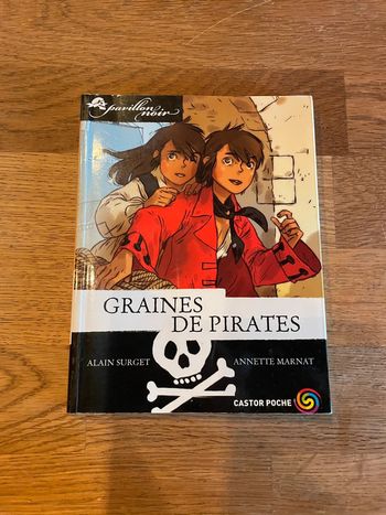 Livre Pavillon noir Graines de pirates  Castor poche Mes premiers romans