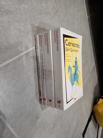 Lot de 4 livre : GF