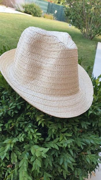 Chapeau borsalino