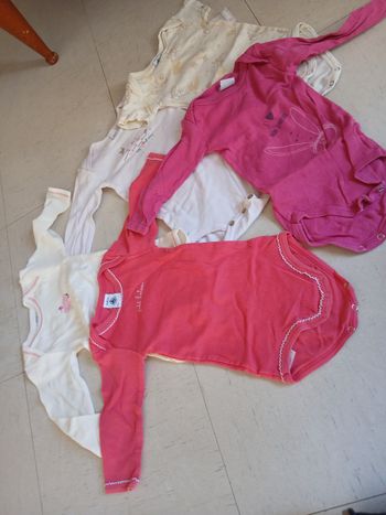 Bodies