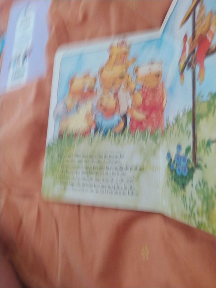 Livre cartonné - photo numéro 4