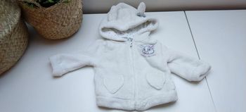 Veste à capuche Disney T3M