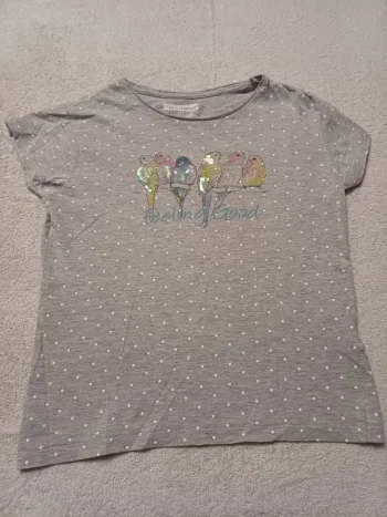 Tee-shirt In Extenso 10 ans (réf perso G-F15)(familleac72)