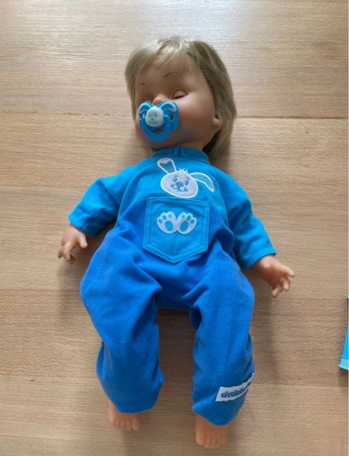 Ciociobello bobo - photo numéro 3