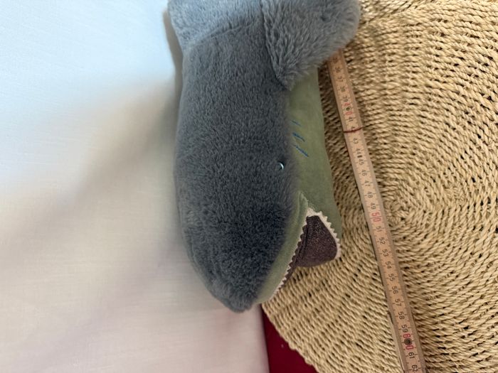 Grand requin - Tout autour du monde - photo numéro 2