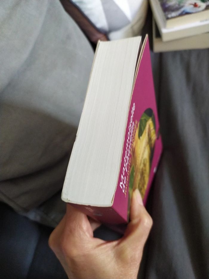 Mademoiselle de Paquelin de Jocelyne Barthel - photo numéro 4