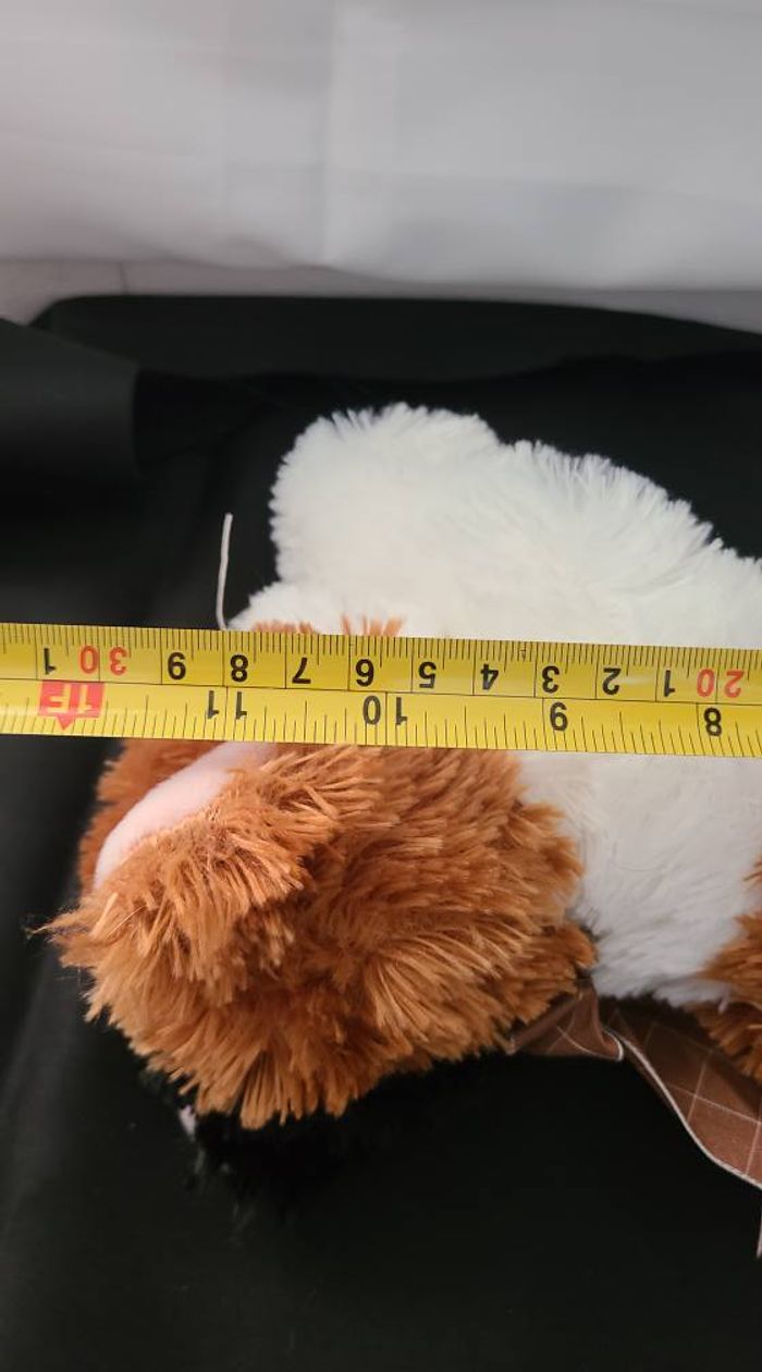 doudou chat - photo numéro 5
